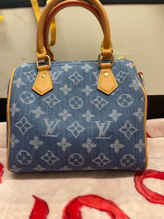 LV Bag